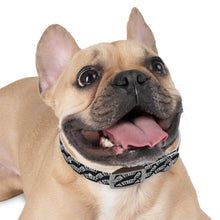 Load image into Gallery viewer, Ten Street Dog Collar
